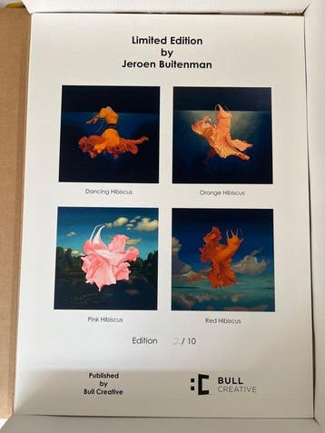 Jeroen Buitenman (1973) - Dancing Hibiscus, Red Hibiscus,