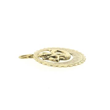 Gouden sterrenbeeld hanger; Waterman (Hanger of bedel), Ophalen of Verzenden