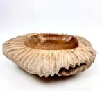 Kom - Teak - Natuurlijk ontwerp