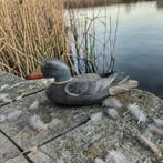 Appelant canard - Klassieke decoy/wilde eend - Bois