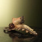 Neushoornvogel Schedel Tribal, Ophalen of Verzenden, Nieuw, Vogel, Opgezet dier