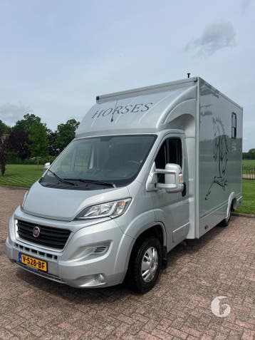 Prachtige Fiat paardencamionette! 27.200 KM!, Dieren en Toebehoren, Ophalen, Zo goed als nieuw, Polyester, 2-paards trailer
