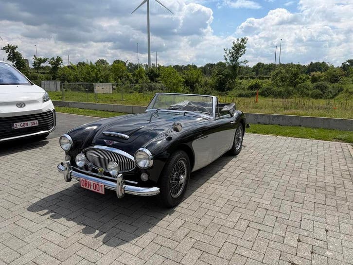Austin Healey, Auto's, Oldtimers, Ophalen