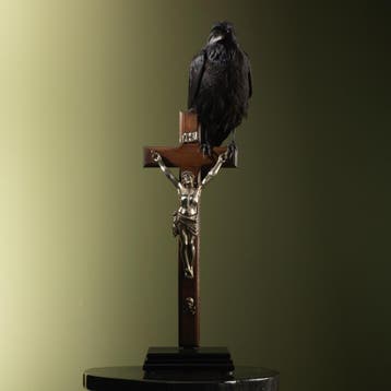 Raaf op Kruis Taxidermie Opgezette Dieren By Max, Ophalen of Verzenden, Opgezet dier