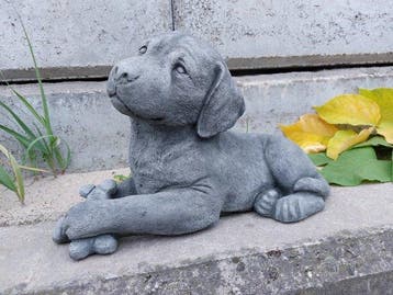 Beeld, beautiful statue with fine patina dog with bone - 23