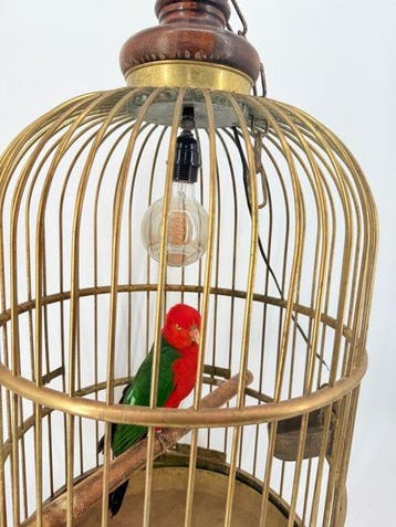 Mannelijke Koningsparkiet in Antieke Kooi Taxidermie, Nieuw