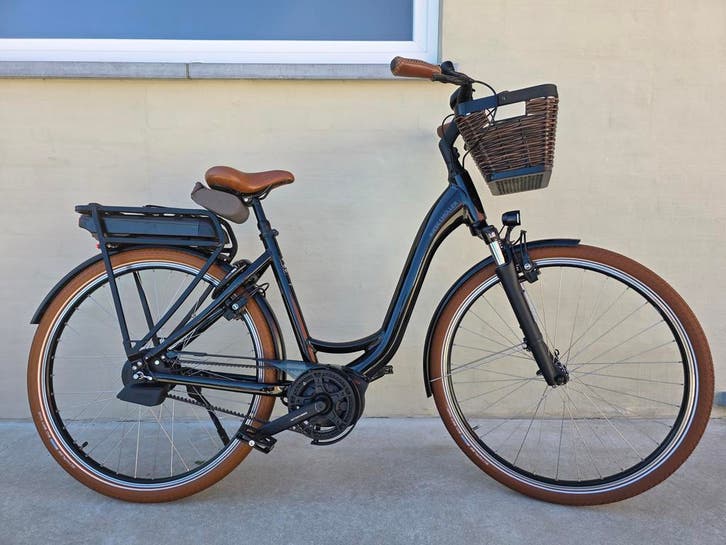 Riese&muller Swing Vario Automatic *500Wh Bosch Performance, Vélos & Vélomoteurs, Vélos électriques, Enlèvement