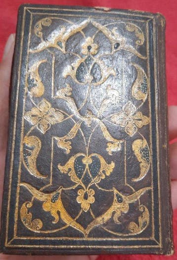 [Biblia Vulgata] - Gryphius - Testamenti Novi (Illustrated