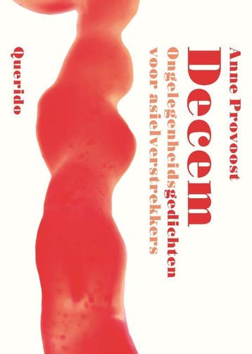 Decem 9789025317836 Anne Provoost, Boeken, Verzenden, Zo goed als nieuw, Anne Provoost