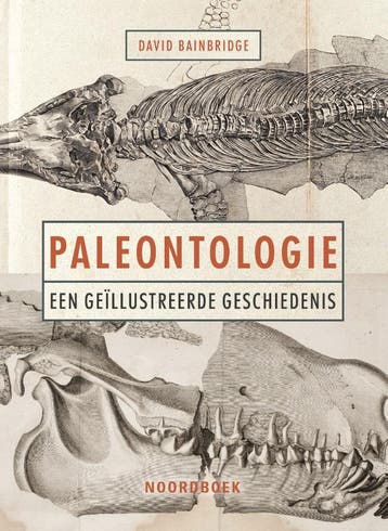 Paleontologie | David Bainbridge | Nieuw, Verzenden, David Bainbridge
