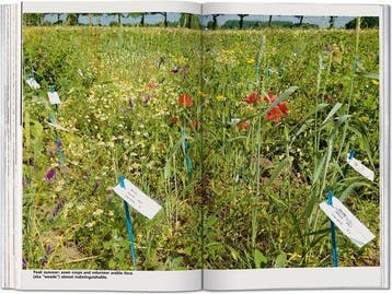 Koolhaas. Countryside, A Report 9783836584395 AMO, Boeken, Verzenden, Gelezen, AMO
