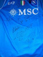 SSC Napoli - Italiaanse voetbal competitie - Giocatori SSC, Nieuw