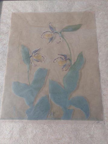Hans Ott - Orchideen