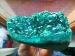 Marine Groen Kwarts Kristalcluster - Hoogte: 11 cm -, Verzamelen, Mineralen en Fossielen