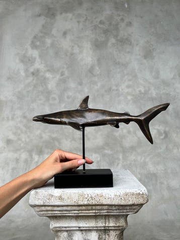 sculptuur, NO RESERVE PRICE - Bronze Hammerhead Shark on a