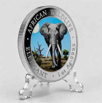 Somalië. 100 Shilling (#021) 2025 – African Wildlife Series, Postzegels en Munten