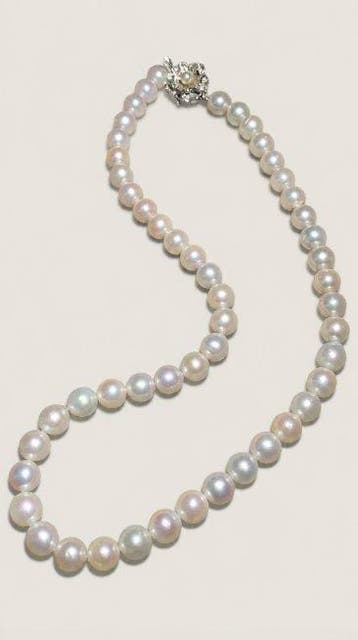 Sans prix de réserve - Collier Argent Perle - akoyo pearl, Nieuw