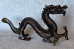 Statue, Draak 30 cm - 15 cm - Bronze