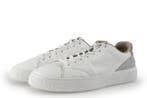 Polo Ralph Lauren Sneakers in maat 42 Wit, Kleding | Heren, Verzenden, Wit, Polo Ralph Lauren, Sneakers