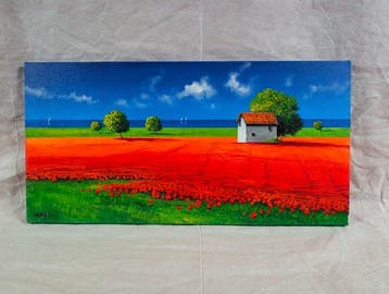 Roberto Mauri (1977) - Campo di Papaveri