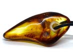Baltisch barnsteen hanger met insectenfossiel - Barnsteen