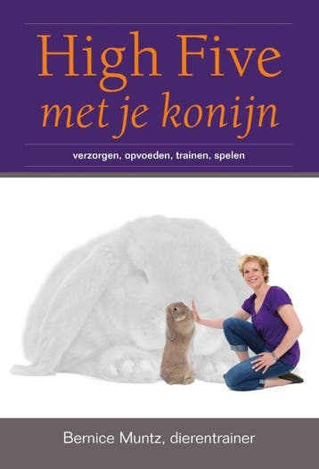 High five met je konijn 9789081771337 Bernice Muntz, Boeken, Verzenden, Zo goed als nieuw, Bernice Muntz