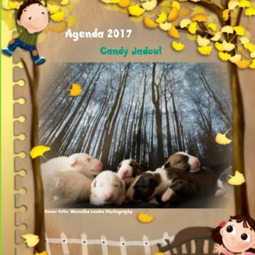 2017 | Candy Jadoul | Nieuw, Verzenden, Nieuw, Candy Jadoul