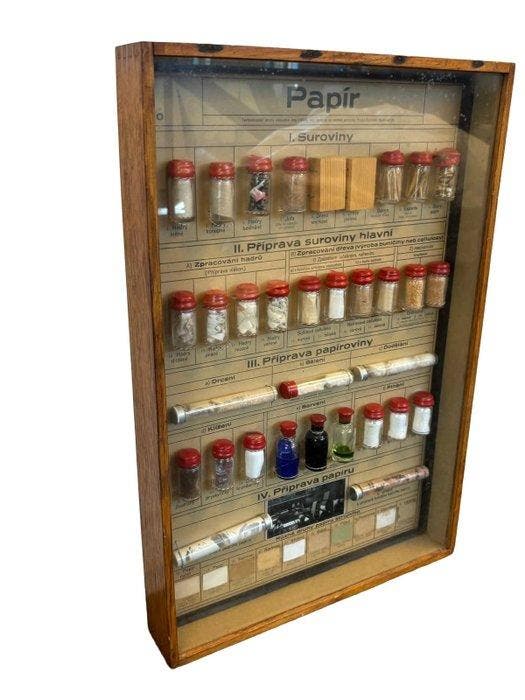 Vitrinekast - Hout, Glas - Educatieve vitrinekast, Antiek en Kunst, Curiosa en Brocante