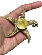 Curieus sculpturale hanger Stella Marina – Artistieke, Antiquités & Art