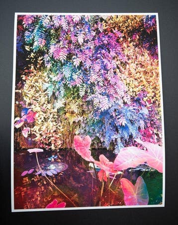 Viet Ha Tran - Secret Garden V