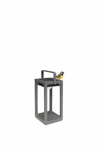 Suns mr solar jack small antraciet |, Nieuw