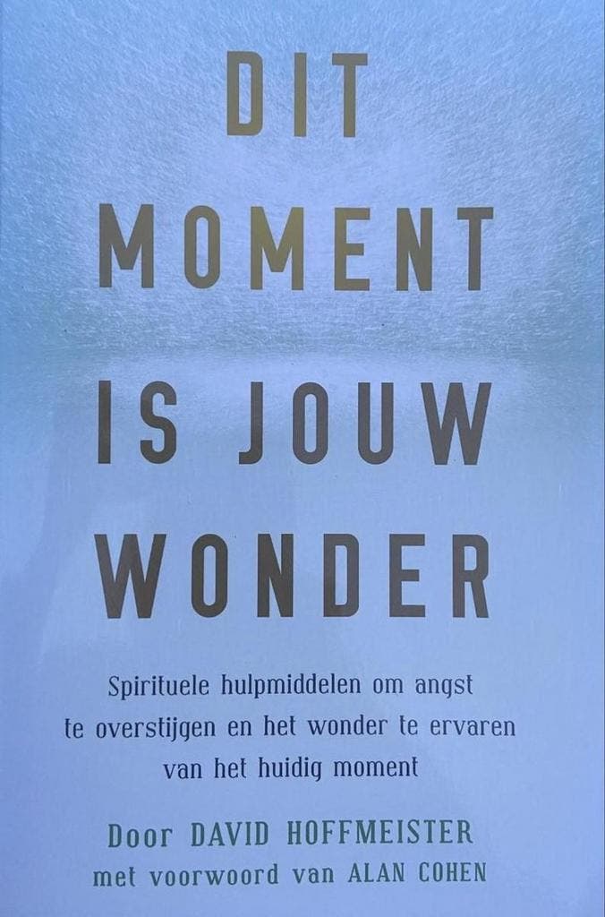 Dit moment is jouw wonder 9789078405047 David Hoffmeister, Boeken, Esoterie en Spiritualiteit, Gelezen, Verzenden