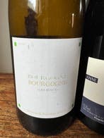2022 Les Riaux Domaine Renaud Boyer & Bourgogne Pinot Noir, Nieuw