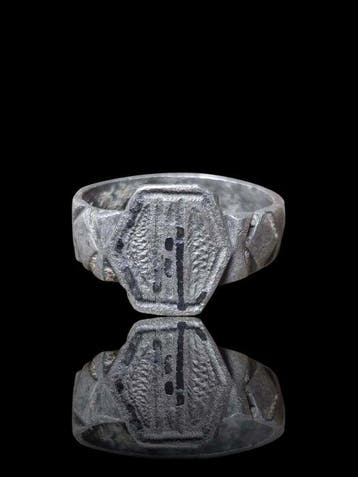 Médiéval, époque des Croisés Phoque argenté éblouissant