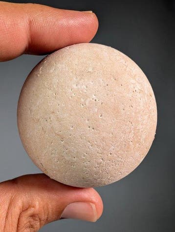 Tortue géante - Œuf fossilisé - Aldabrachelys abrupta - 5.8, Collections