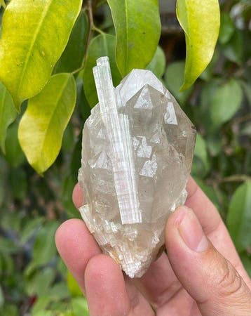 Belle tourmaline naturelle rose avec un ensemble de cristaux