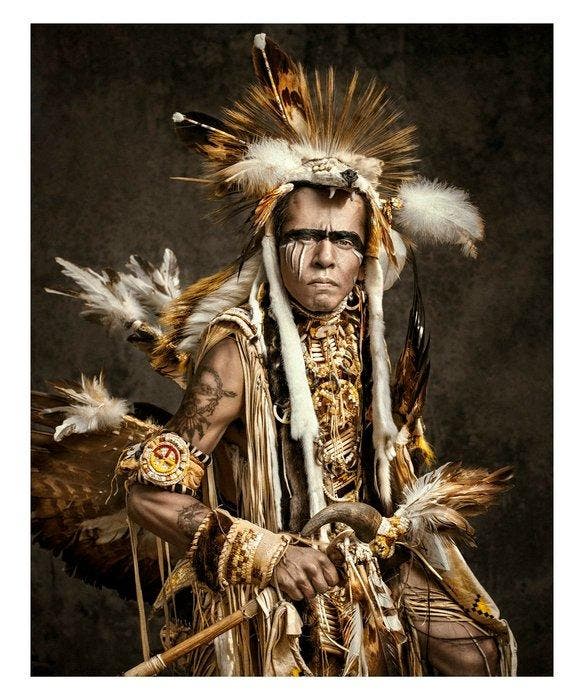 Elena Paraskeva - The Great Native American Tribes #1 (2017), Antiquités & Art, Art | Objets design