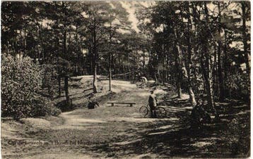 Boîtes de paysages forestiers, parcs variés, étangs, allées,, Collections