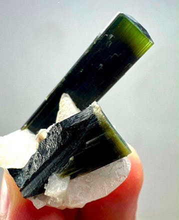 Tourmaline) Kristallen op matrix - Hoogte: 41 mm - Breedte:, Collections