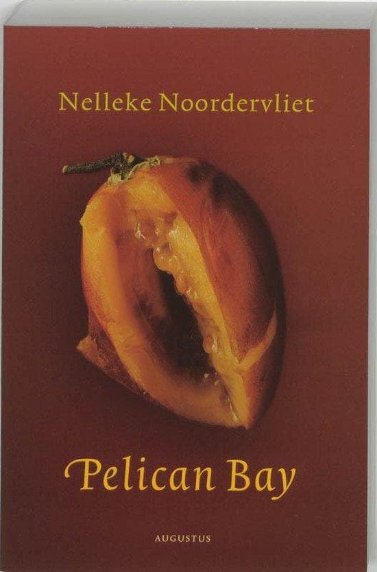 Pelican Bay - Noordervliet, Boeken, Literatuur, Verzenden
