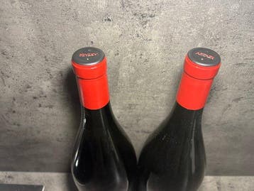 2022 Artadi, Viñas de Gain - Rioja - 2 Magnums (1.5L)