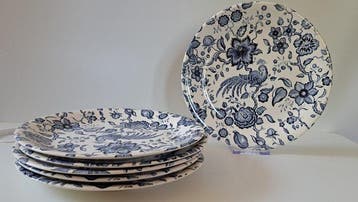 Villeroy & Boch - Bord (6) - Paradiso - Feinsteingut -