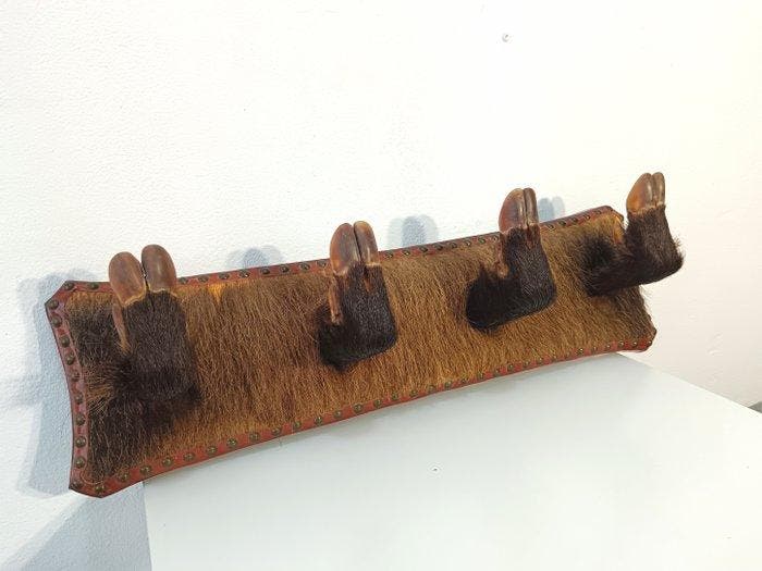 Jachttrofee, Verzamelen, Dierenverzamelingen