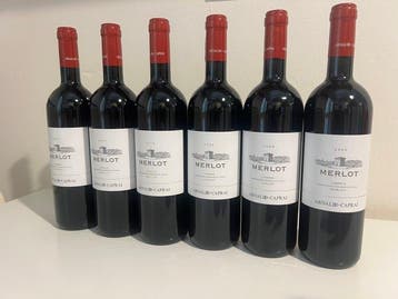 2022 Arnaldo Caprai Merlot - Umbrië - 6 Flessen (0.75 liter), Nieuw