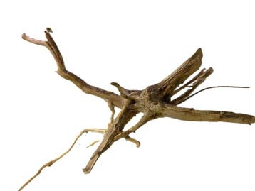 Driftwood Selected  DW51 - 35x20x15cm (Small drift wood), Ophalen of Verzenden, Nieuw, Plant(en), Steen of Hout