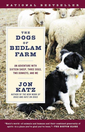 The Dogs Of Bedlam Farm 9780812972504 Jon Katz, Verzenden, Gelezen, Jon Katz