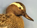 Marzaiola Support de corps entier pour taxidermie - Spatula, Verzamelen, Dierenverzamelingen, Nieuw