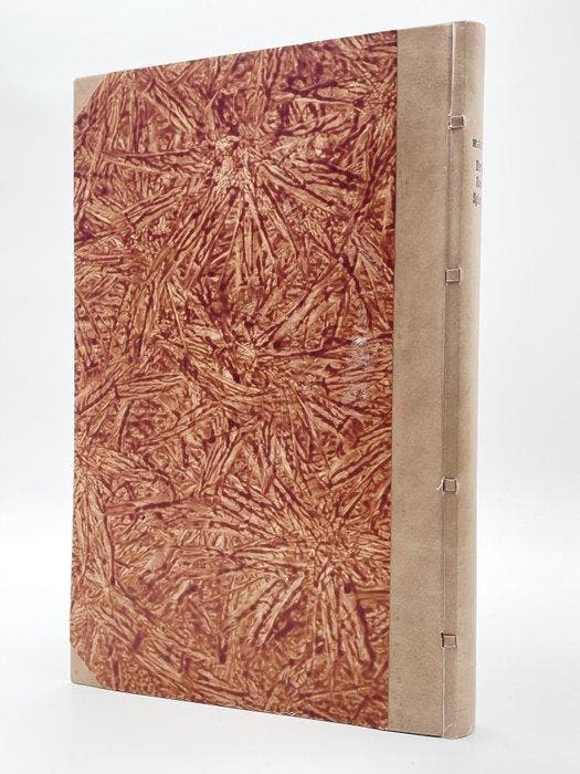 Rössler - [ERSTAUSGABE] Speculum Metallurgiae Politissimum -, Antiek en Kunst, Antiek | Boeken en Manuscripten