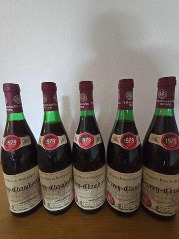 1979 F. Protheau et Fils - Gevrey Chambertin - 5 Flessen, Verzamelen, Wijnen, Nieuw