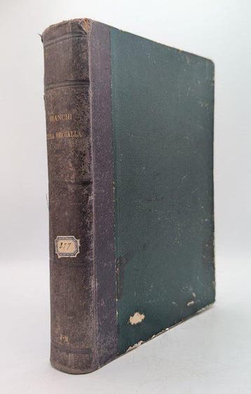 Gustavo Bianchi; E. Ximenes - Alla terra dei Galla